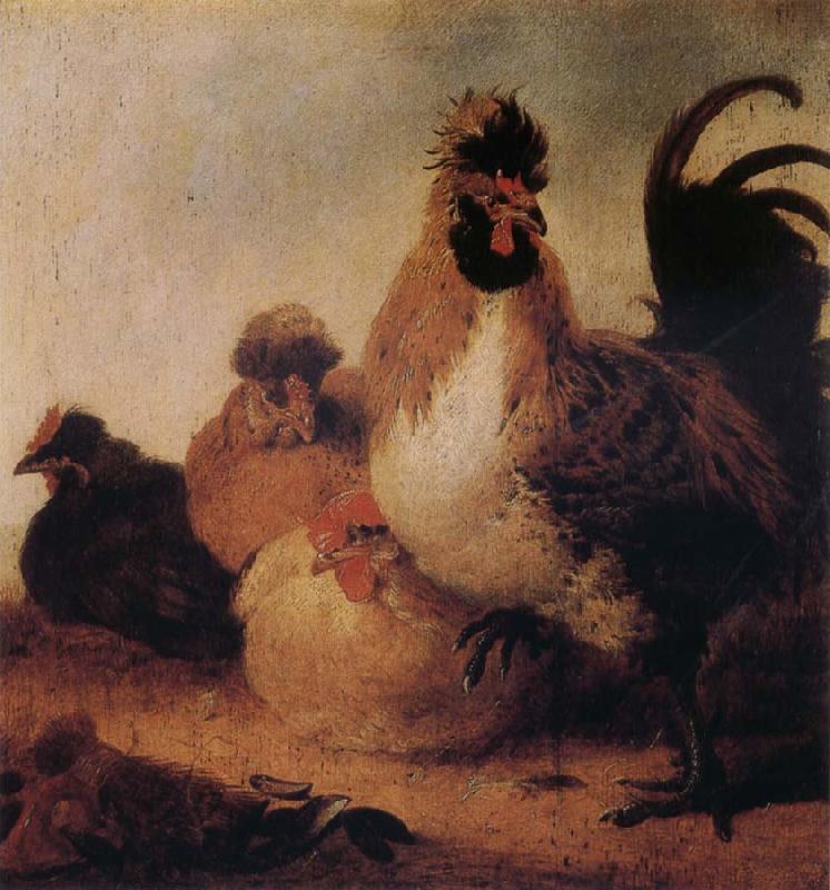 Aelbert Cuyp Rooster and Hens